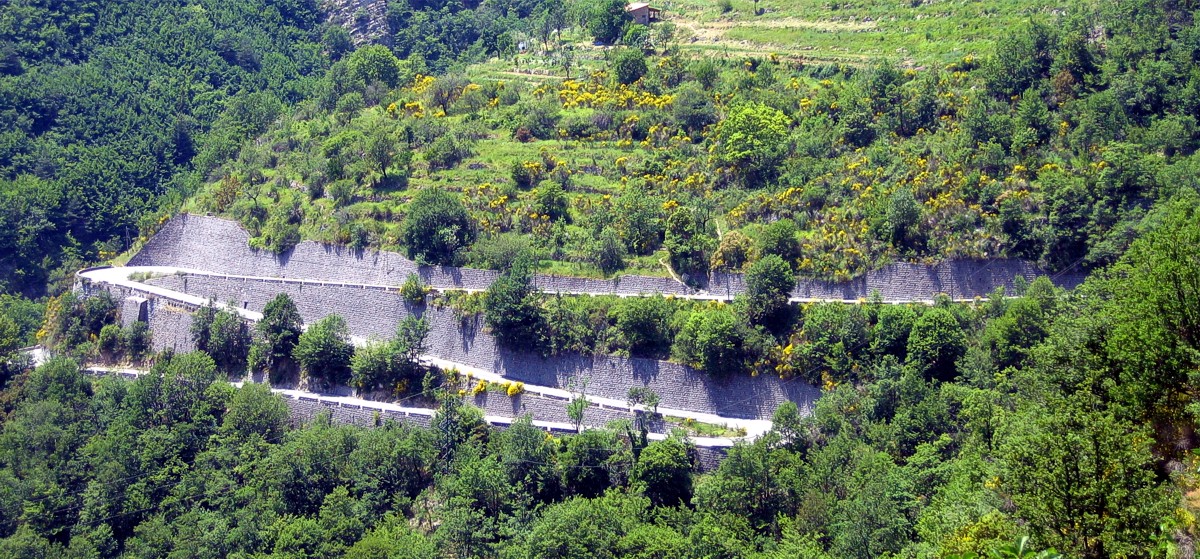 Col de Turini