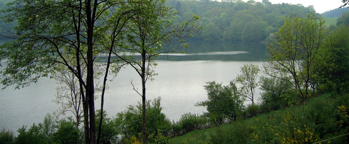 Weinfelder Maar