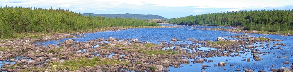 Flusslandschaft