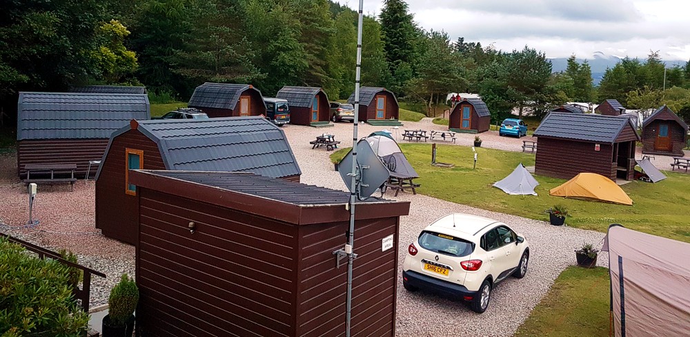 Pine Trees Camping